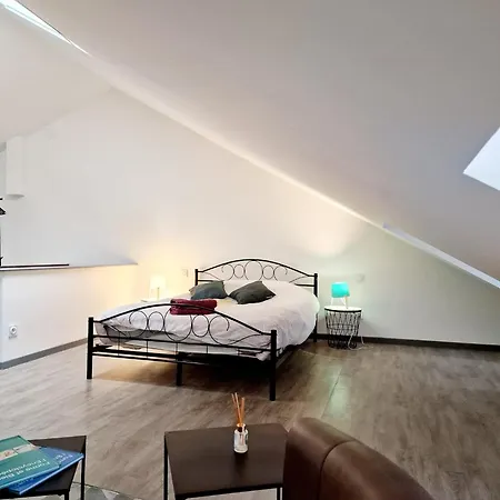 De Vac's Et D'affaires A בית נופש Monthermé